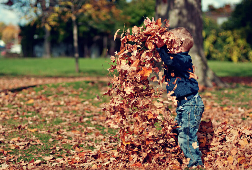 How to Clean Your Yard During Spring Leaf Fall