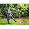 Vacuum with Backpack